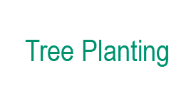 Tree Planting